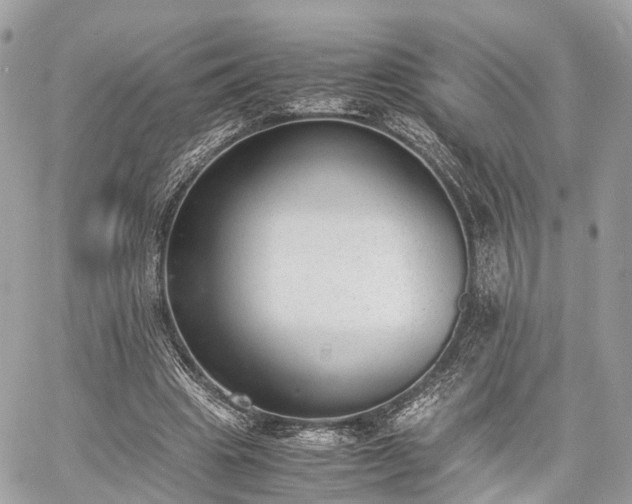 X0000060800441200511141444