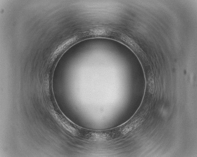 X0000060800442200511141444