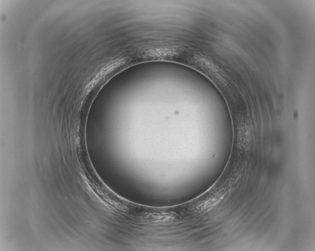 X0000060800443200511141444