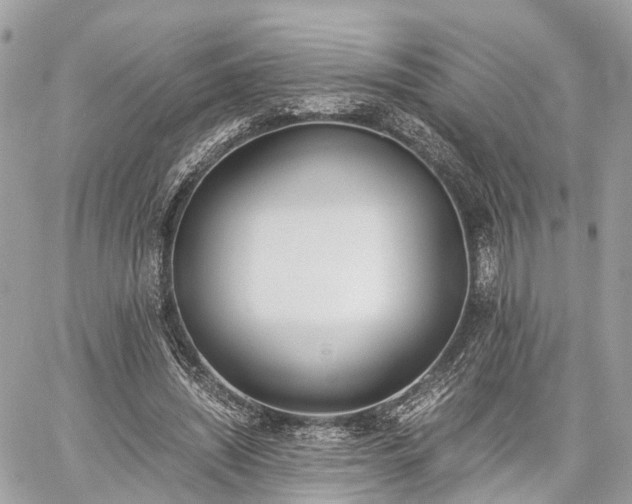 X0000060800444200511141444