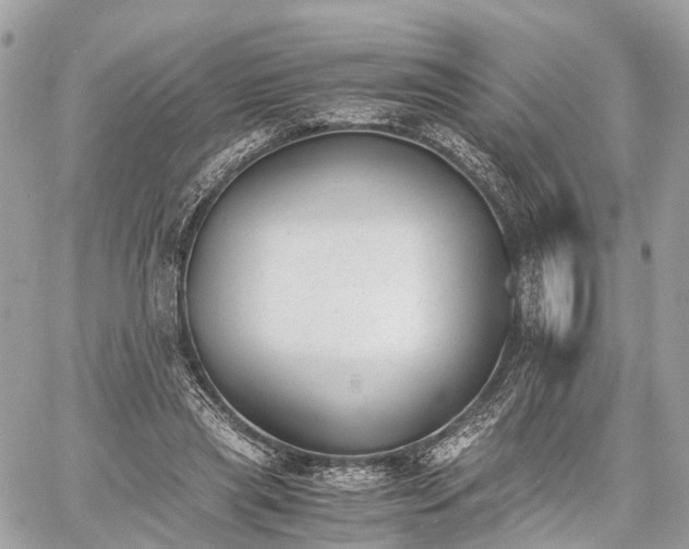 X0000060800445200511141444