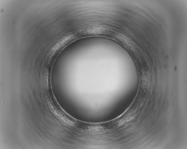 X0000060800446200511141444