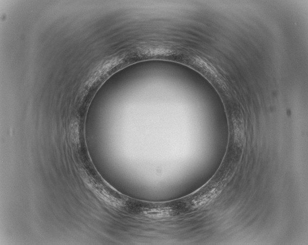 X0000060800447200511141444