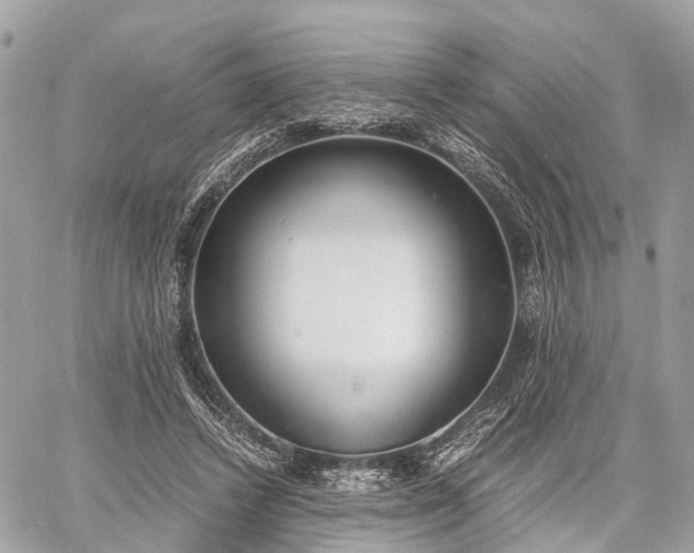 X0000060800448200511141444