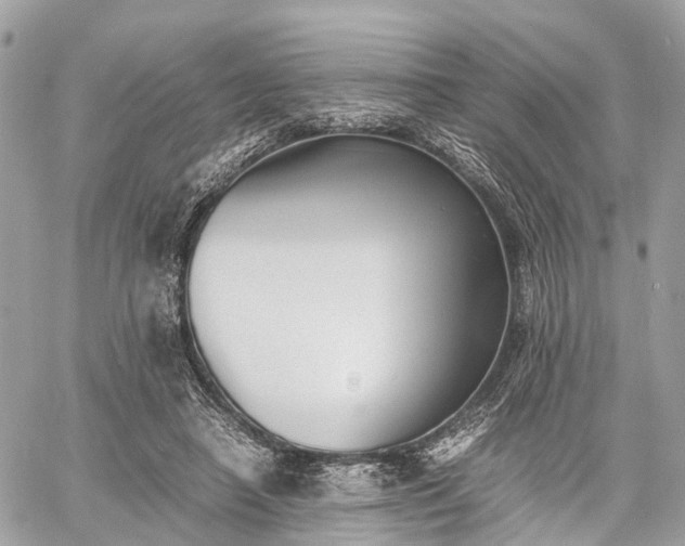 X0000060800450200511141444