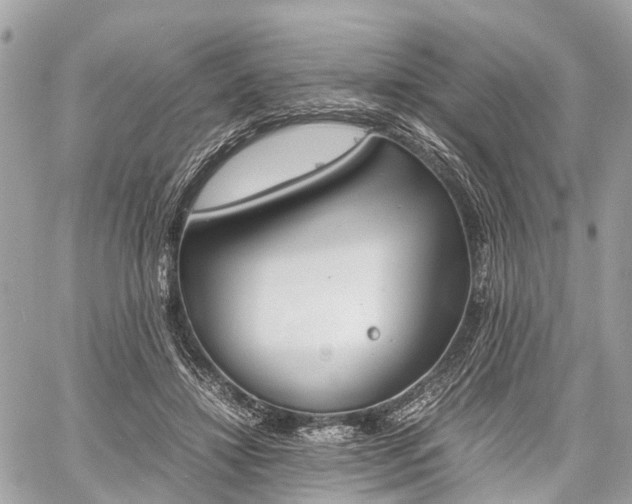 X0000060800452200511141444