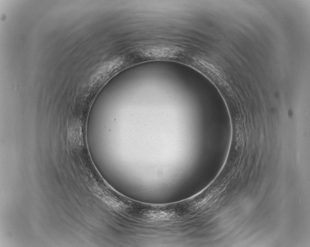 X0000060800453200511141444