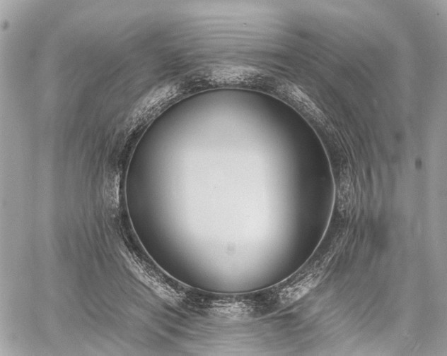 X0000060800454200511141444