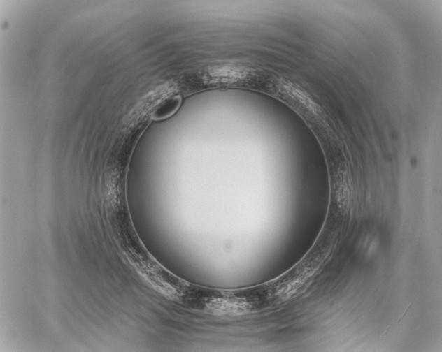 X0000060800455200511141444