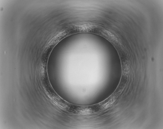 X0000060800456200511141444