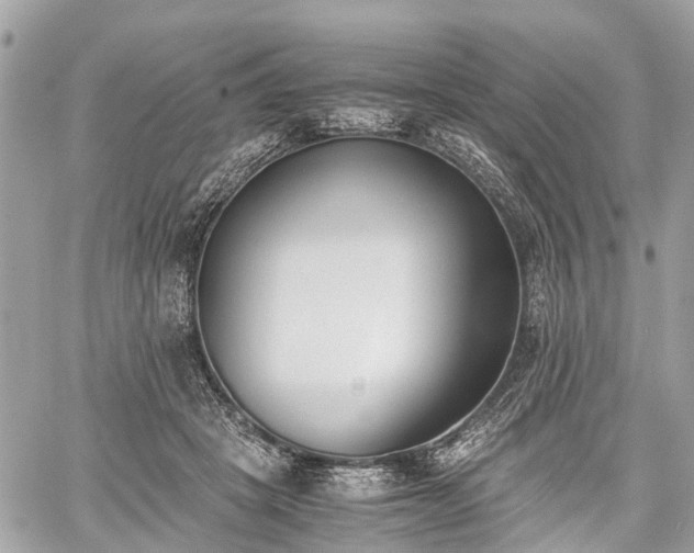 X0000060800457200511141444