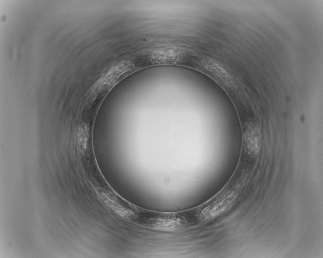 X0000060800458200511141444