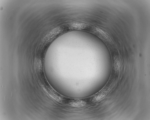 X0000060800459200511141444