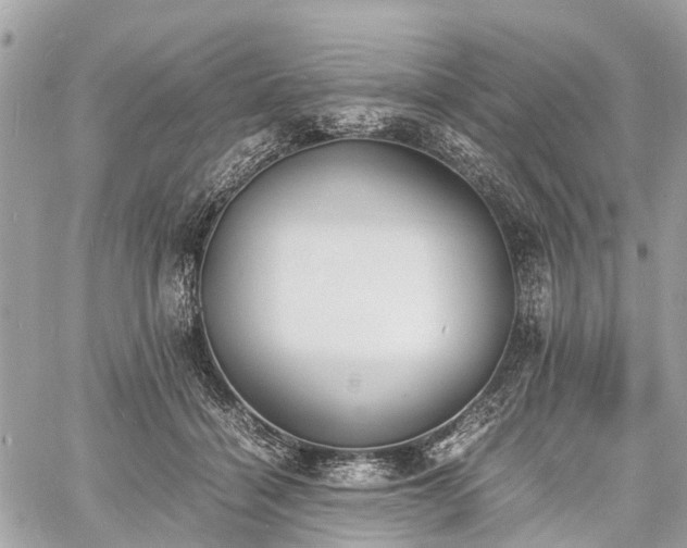 X0000060800460200511141444