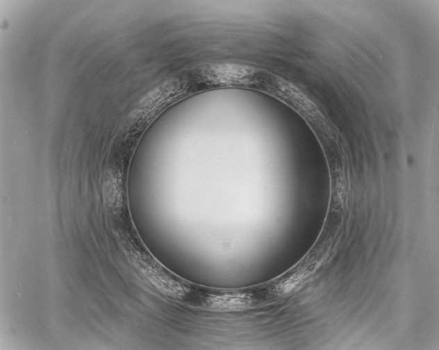 X0000060800461200511141444