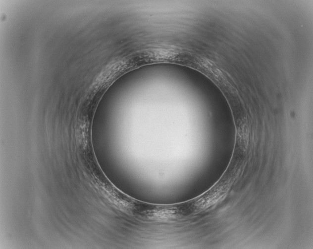 X0000060800462200511141444