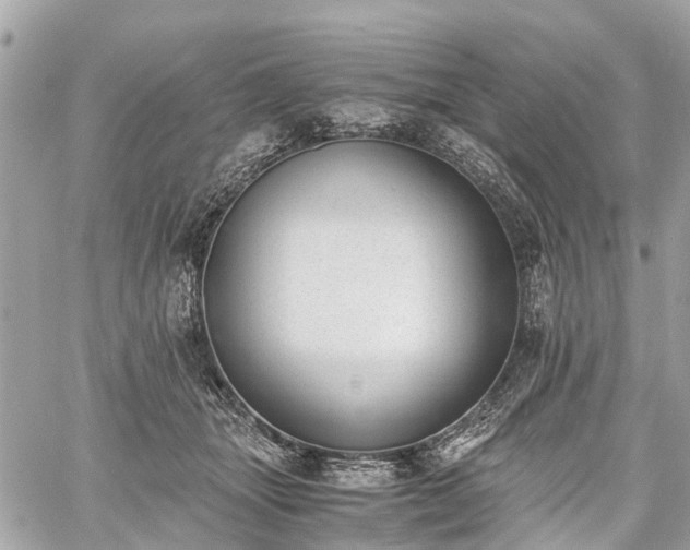 X0000060800463200511141444