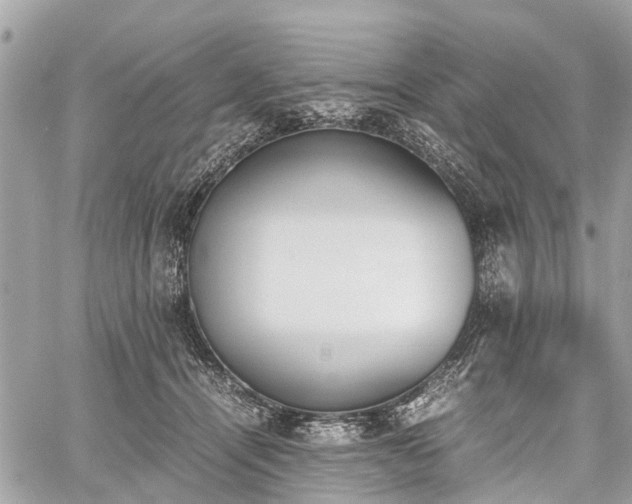 X0000060800464200511141444