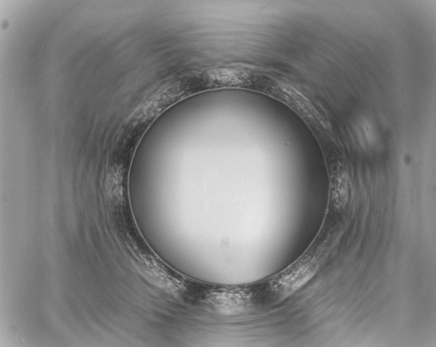 X0000060800466200511141444