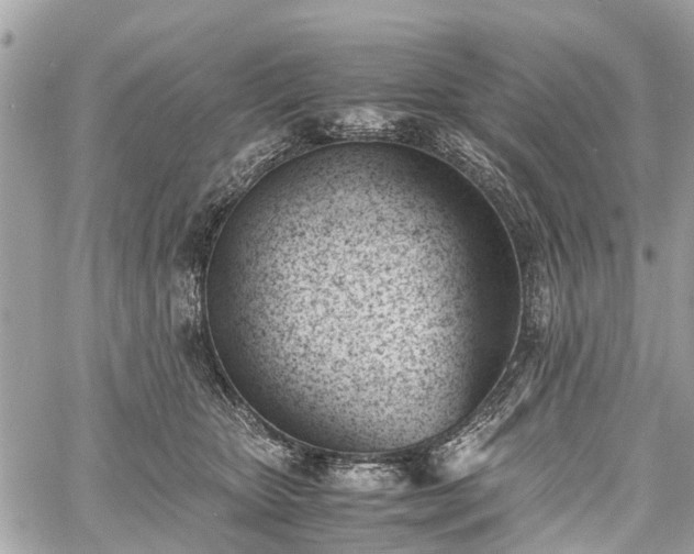 X0000060800467200511141444