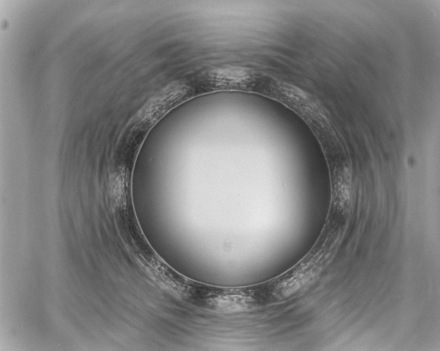 X0000060800468200511141444