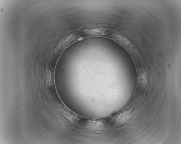 X0000060800469200511141444