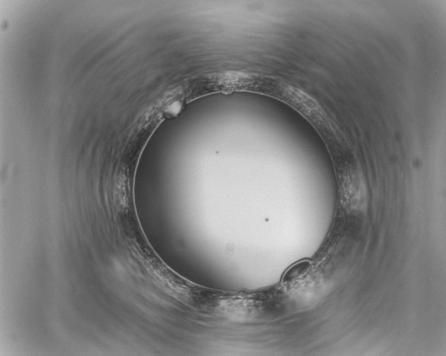 X0000060800470200511141444