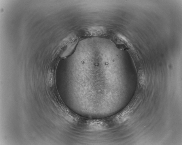 X0000060800471200511141445