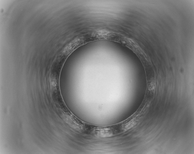 X0000060800472200511141445