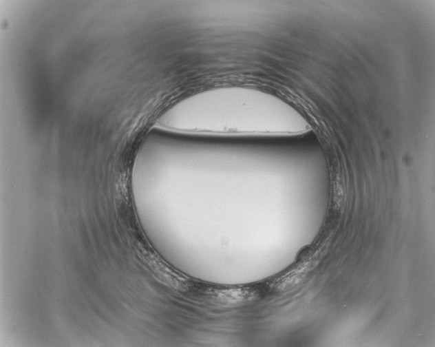 X0000060800473200511141445