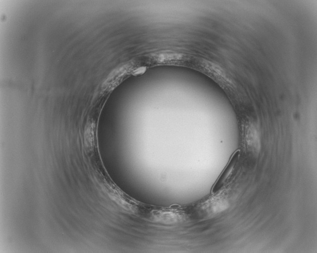 X0000060800475200511141445