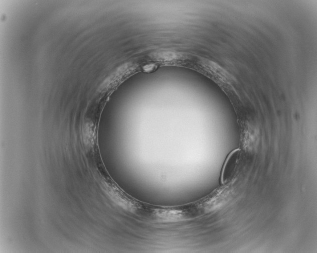 X0000060800476200511141445