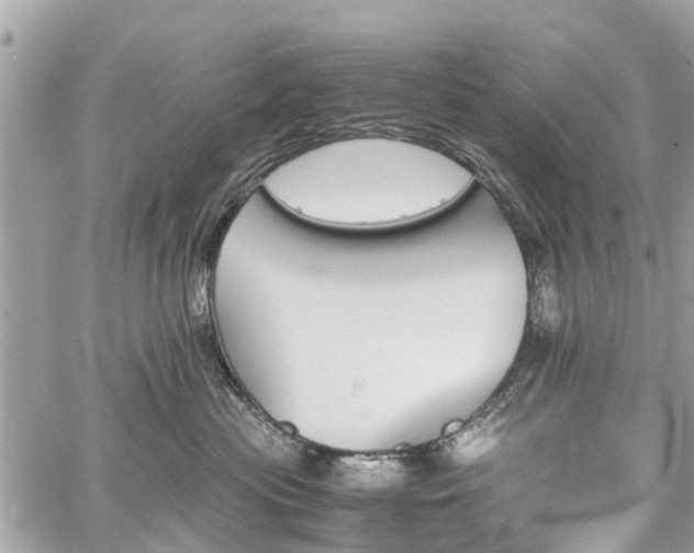 X0000060800477200511141445