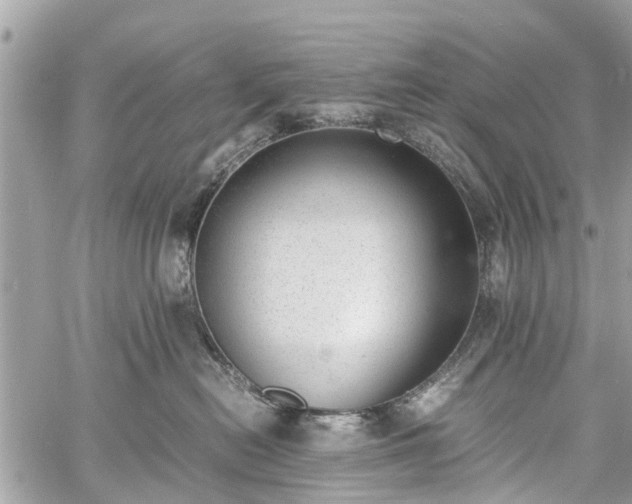 X0000060800478200511141445