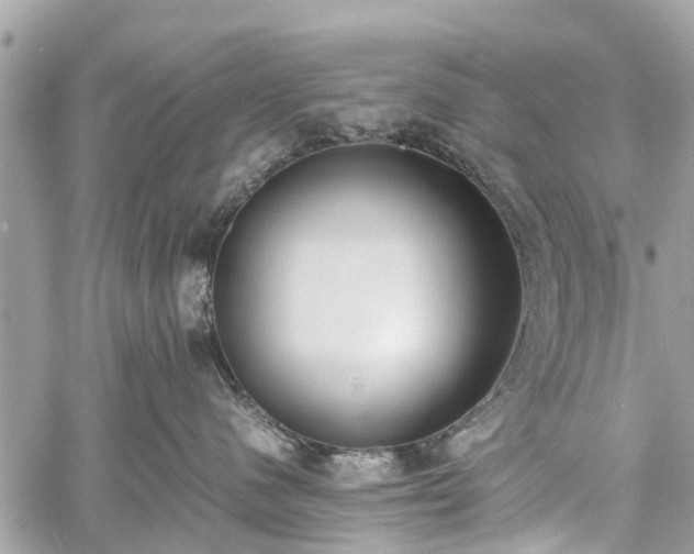 X0000060800480200511141445