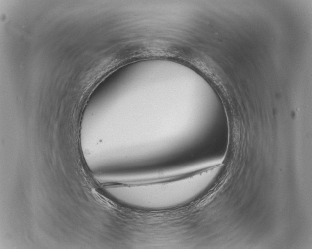 X0000060800481200511141444