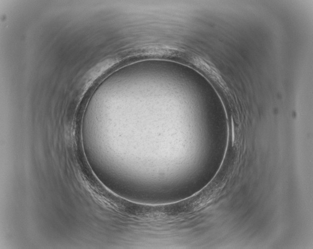 X0000060800483200511141444