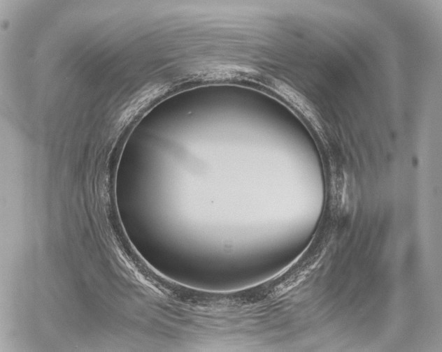 X0000060800485200511141444