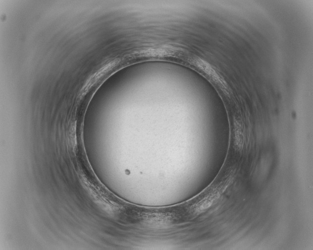 X0000060800486200511141444