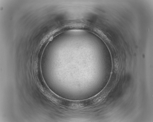 X0000060800487200511141444