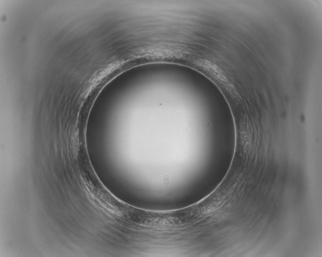 X0000060800488200511141444