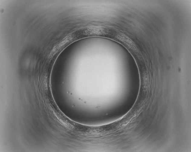 X0000060800489200511141444