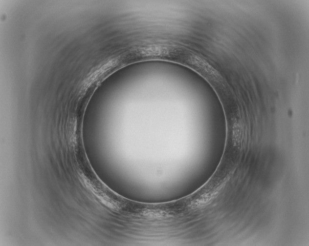 X0000060800490200511141444