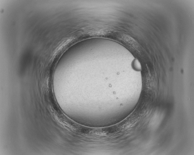 X0000060800491200511141444