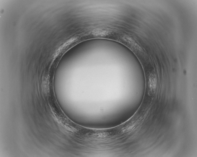 X0000060800492200511141444