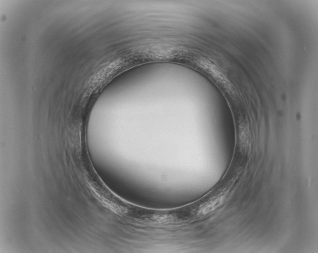 X0000060800493200511141444