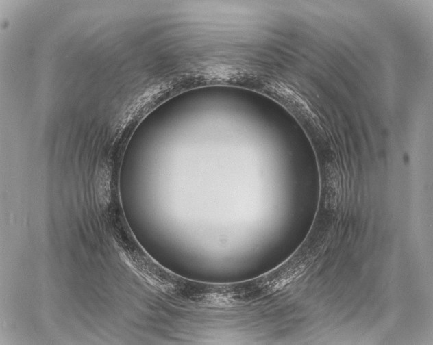 X0000060800496200511141443