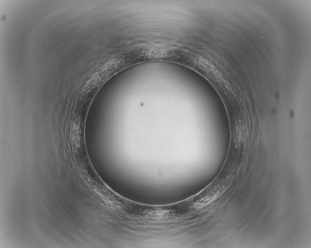 X0000060800497200511141443