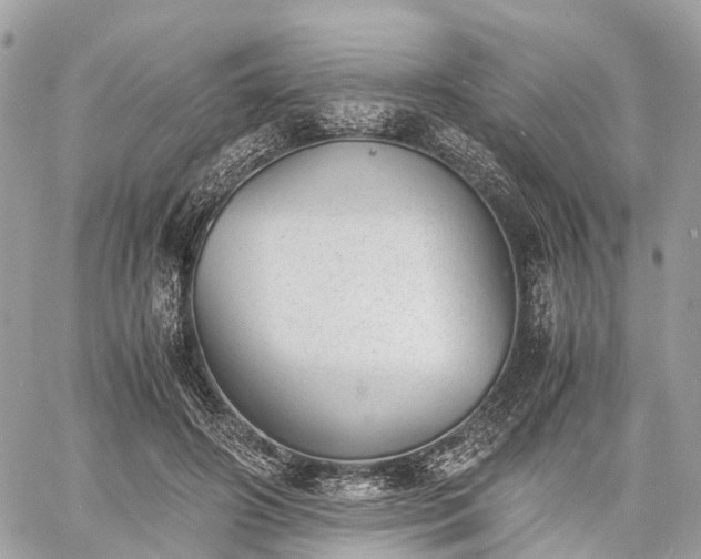 X0000060800498200511141443