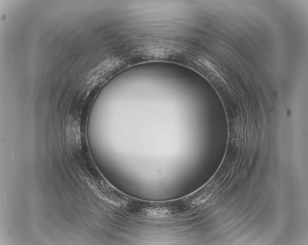 X0000060800500200511141443